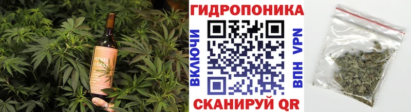 Canna-Cookies конопля  OMG зеркало  Элиста 