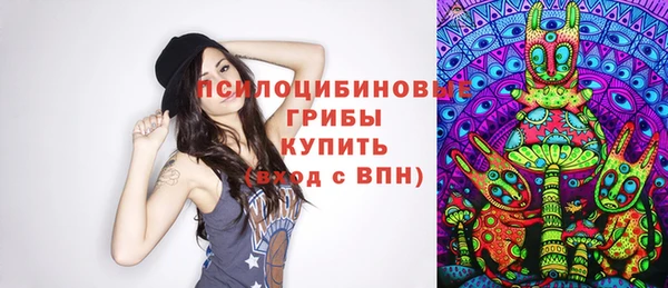 сатива Алзамай