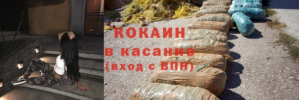 сатива Алзамай