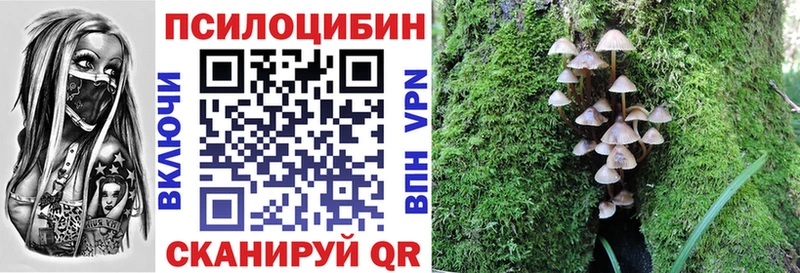 Псилоцибиновые грибы прущие грибы  купить   Элиста 